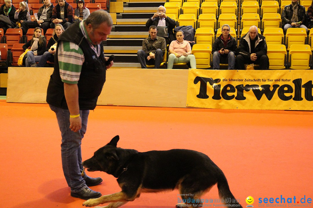 HUND 2013 - Hundemesse: Winterthur - Schweiz, 03.02.2013