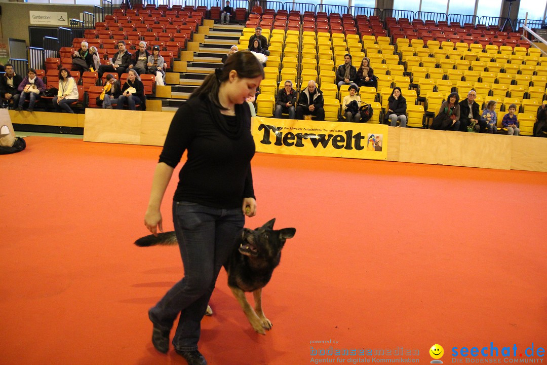 HUND 2013 - Hundemesse: Winterthur - Schweiz, 03.02.2013