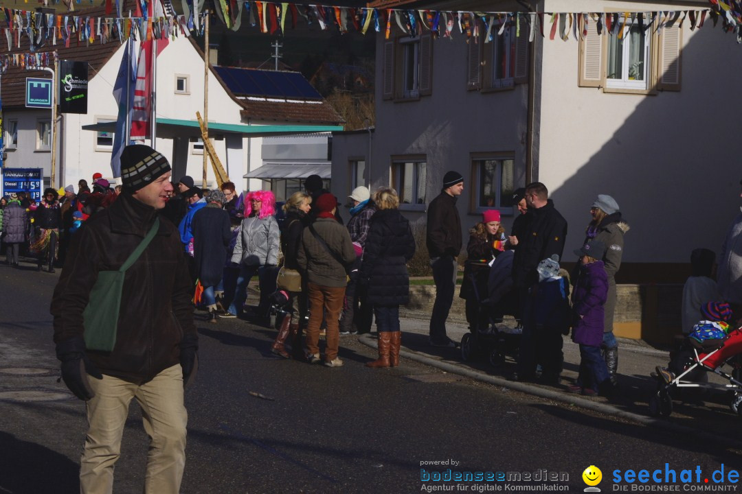 Narrentreffen - NV Kamelia: Tengen am Bodensee, 03.02.2013