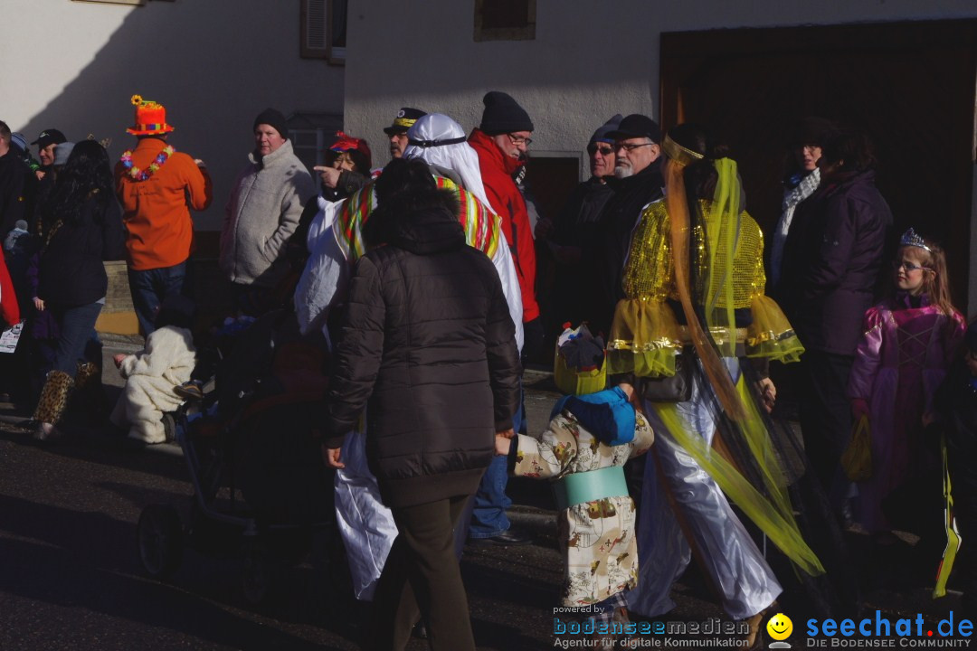 Narrentreffen - NV Kamelia: Tengen am Bodensee, 03.02.2013