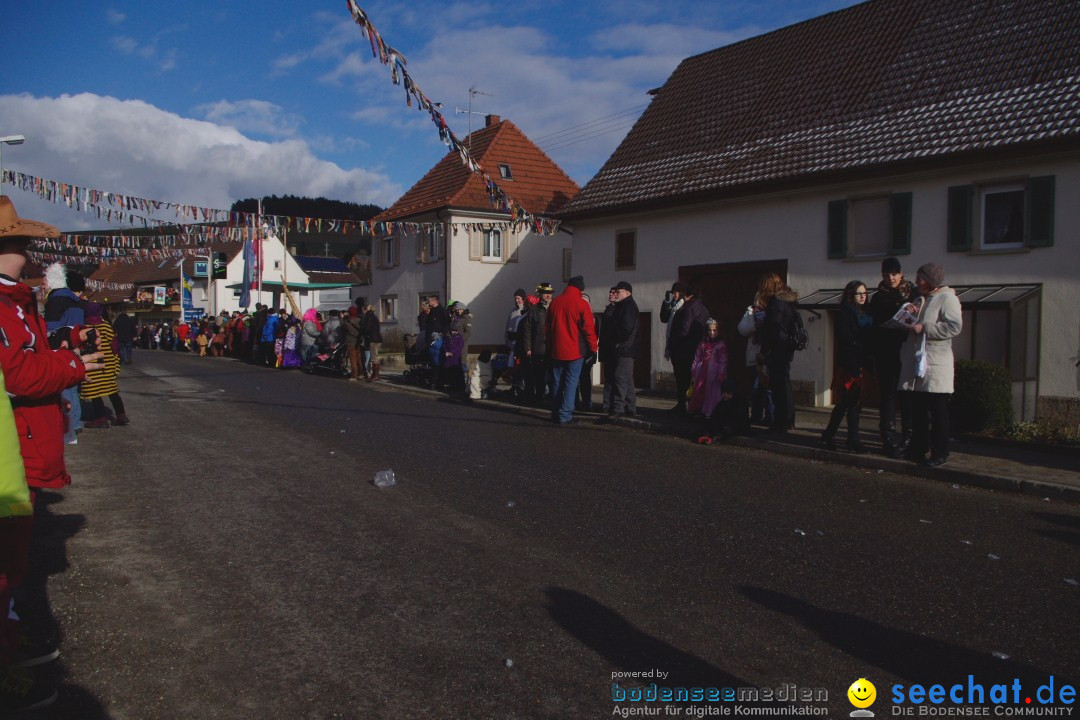 Narrentreffen - NV Kamelia: Tengen am Bodensee, 03.02.2013