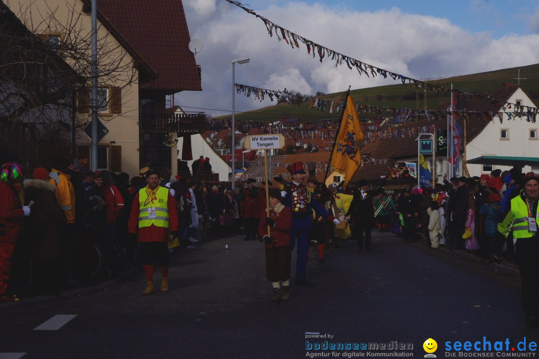 Narrentreffen - NV Kamelia: Tengen am Bodensee, 03.02.2013