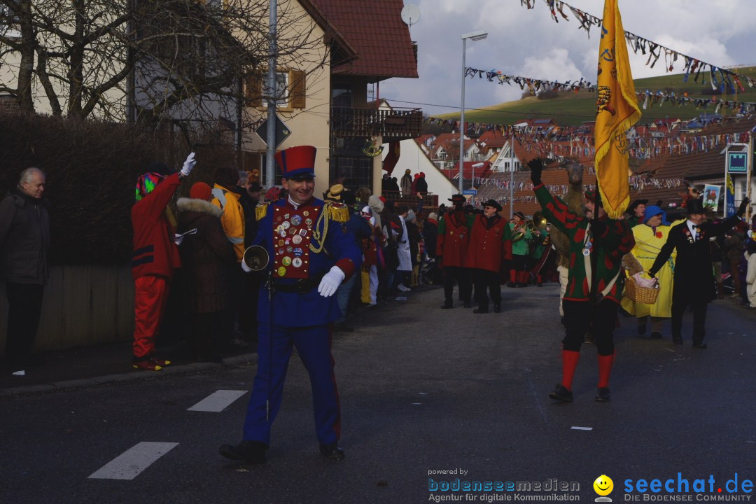 Narrentreffen - NV Kamelia: Tengen am Bodensee, 03.02.2013