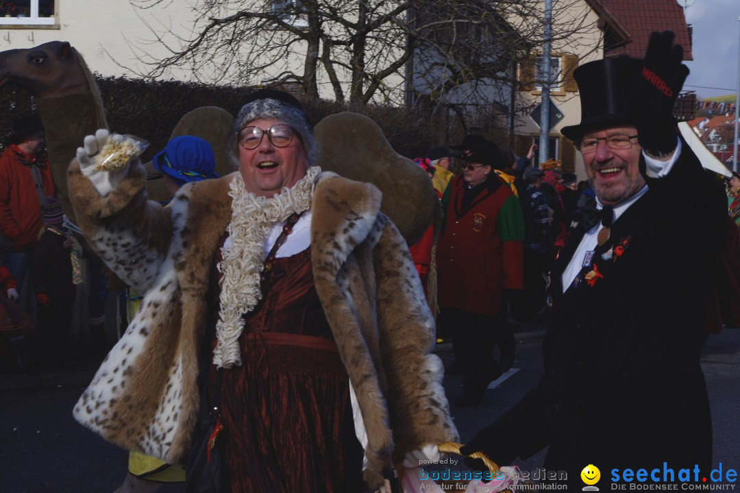 Narrentreffen - NV Kamelia: Tengen am Bodensee, 03.02.2013