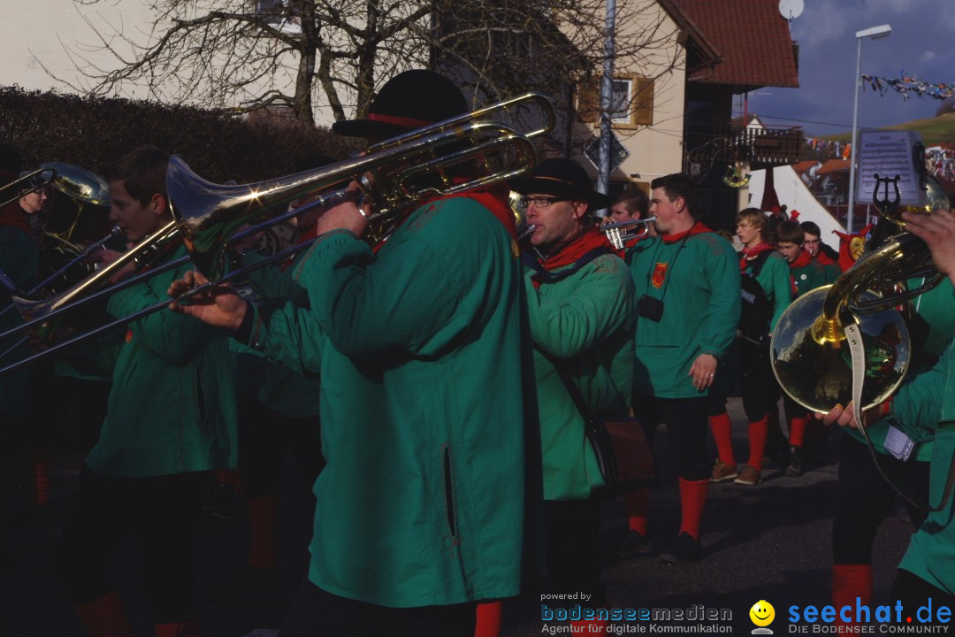 Narrentreffen - NV Kamelia: Tengen am Bodensee, 03.02.2013