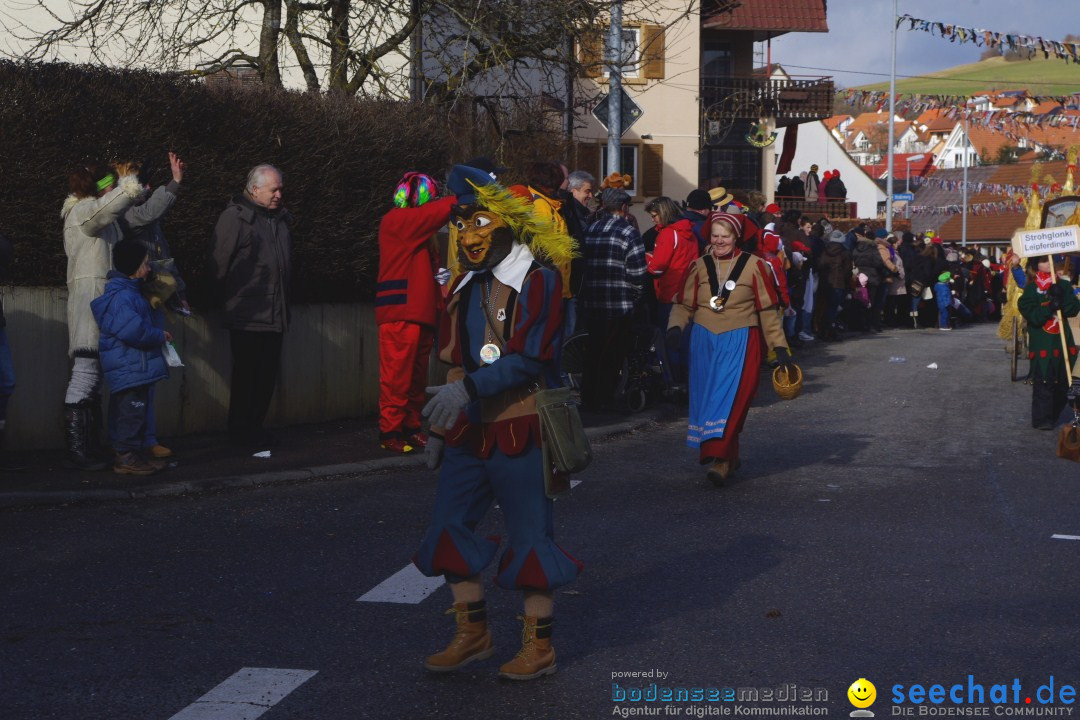 Narrentreffen - NV Kamelia: Tengen am Bodensee, 03.02.2013