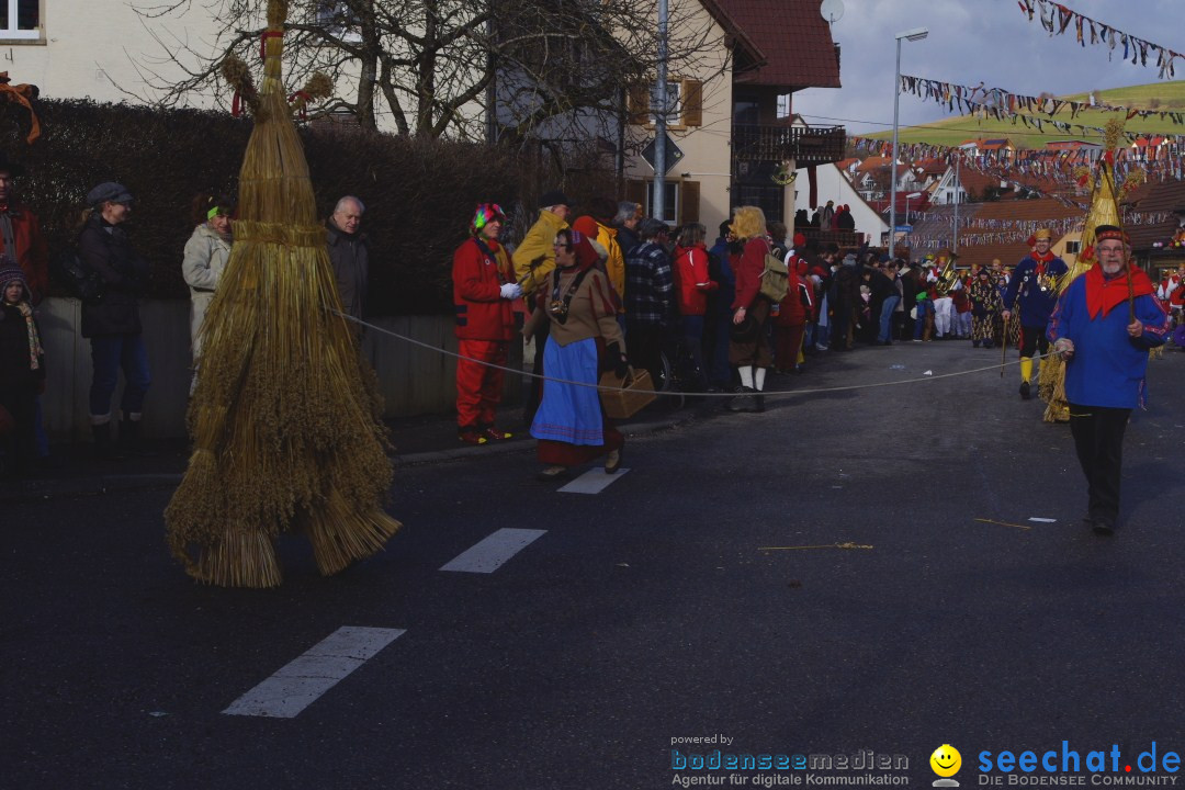 Narrentreffen - NV Kamelia: Tengen am Bodensee, 03.02.2013