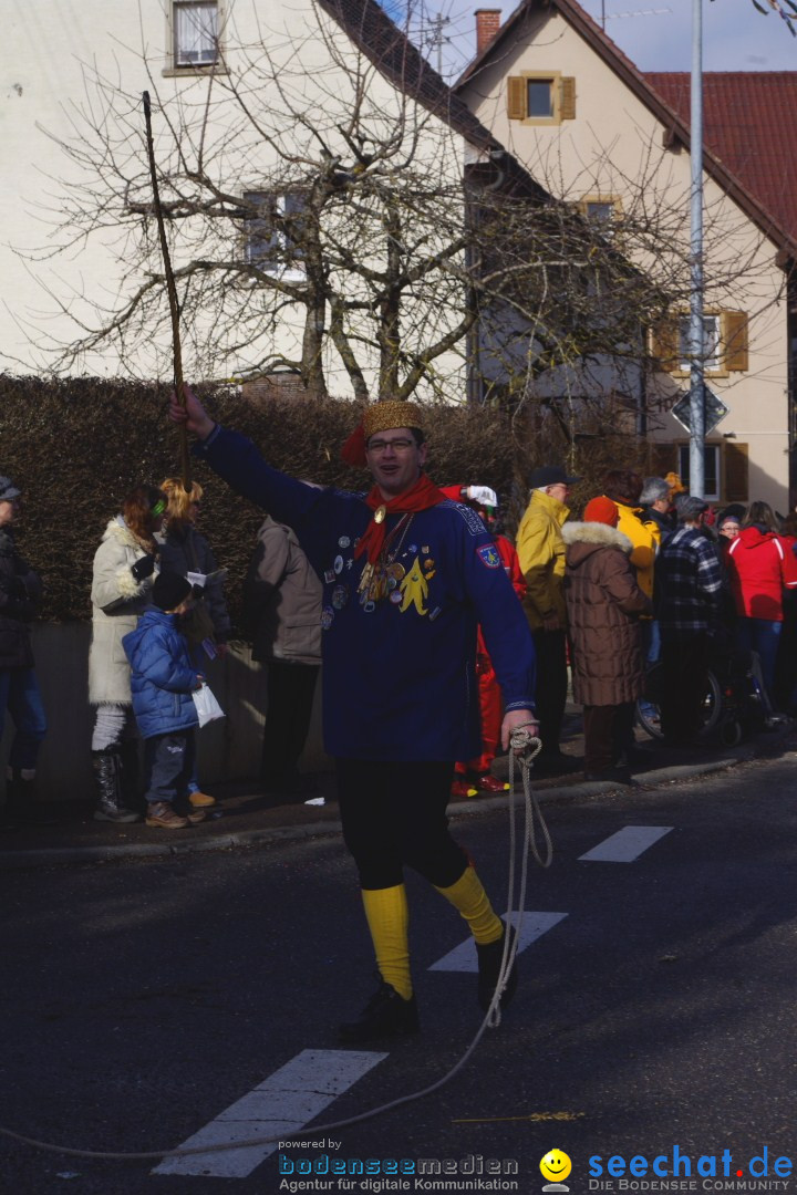 Narrentreffen - NV Kamelia: Tengen am Bodensee, 03.02.2013