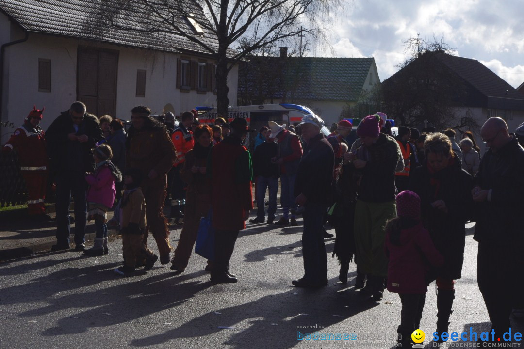 Narrentreffen - NV Kamelia: Tengen am Bodensee, 03.02.2013