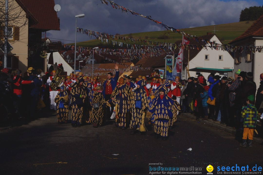 Narrentreffen - NV Kamelia: Tengen am Bodensee, 03.02.2013