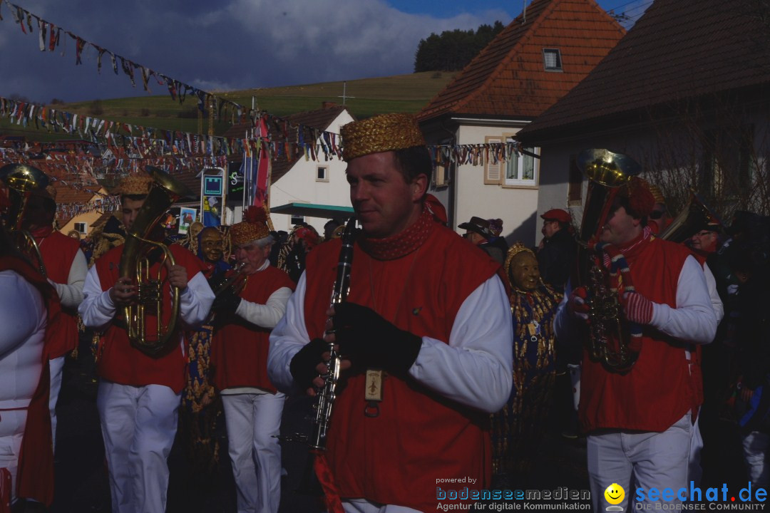 Narrentreffen - NV Kamelia: Tengen am Bodensee, 03.02.2013