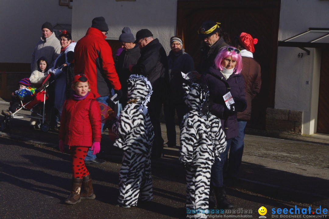 Narrentreffen - NV Kamelia: Tengen am Bodensee, 03.02.2013