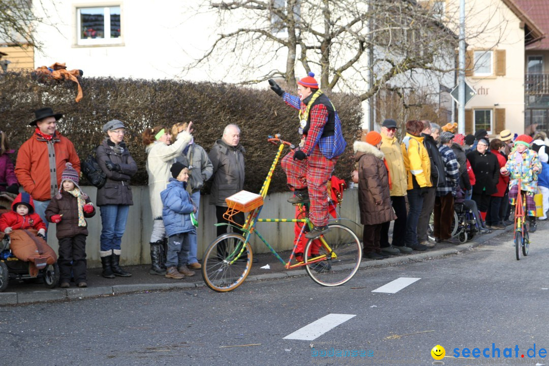 Narrentreffen - NV Kamelia: Tengen am Bodensee, 03.02.2013