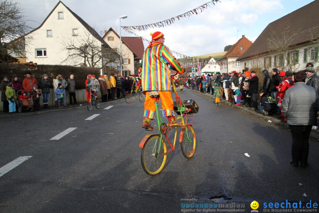 Narrentreffen - NV Kamelia: Tengen am Bodensee, 03.02.2013