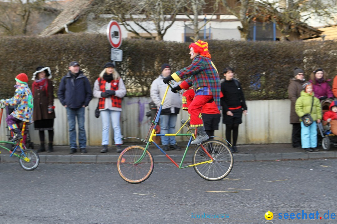 Narrentreffen - NV Kamelia: Tengen am Bodensee, 03.02.2013