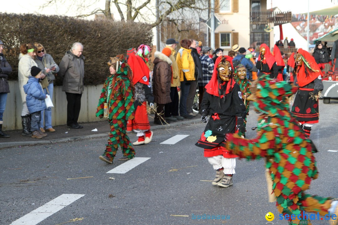 Narrentreffen - NV Kamelia: Tengen am Bodensee, 03.02.2013