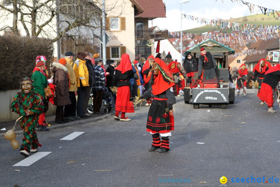 Narrentreffen - NV Kamelia: Tengen am Bodensee, 03.02.2013