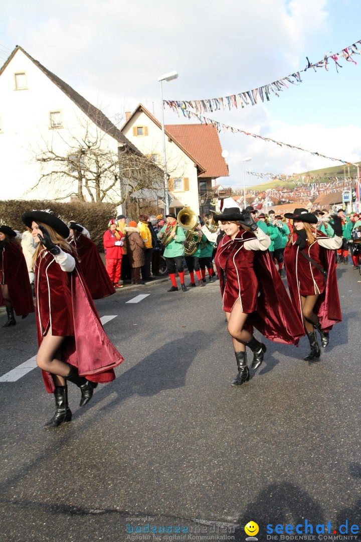 Narrentreffen - NV Kamelia: Tengen am Bodensee, 03.02.2013