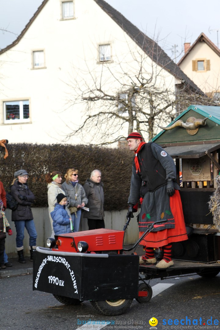 Narrentreffen - NV Kamelia: Tengen am Bodensee, 03.02.2013