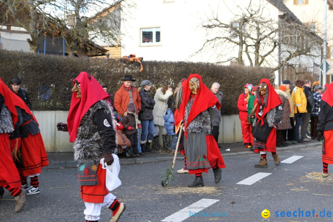 Narrentreffen - NV Kamelia: Tengen am Bodensee, 03.02.2013