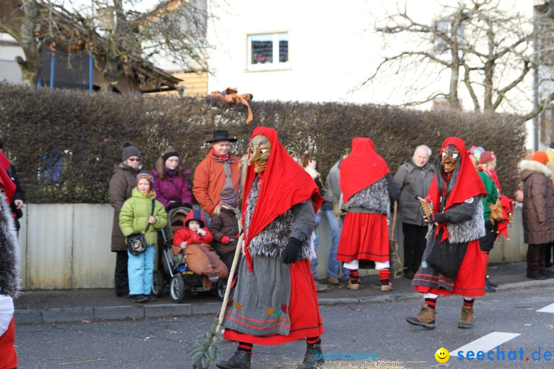 Narrentreffen - NV Kamelia: Tengen am Bodensee, 03.02.2013