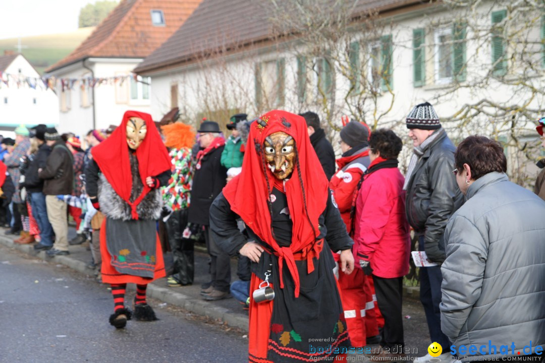 Narrentreffen - NV Kamelia: Tengen am Bodensee, 03.02.2013