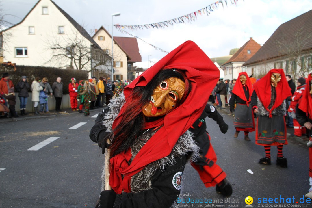 Narrentreffen - NV Kamelia: Tengen am Bodensee, 03.02.2013