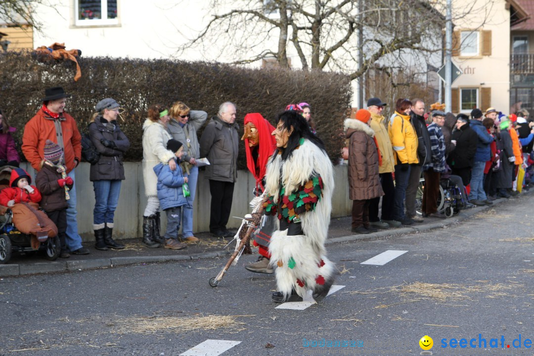 Narrentreffen - NV Kamelia: Tengen am Bodensee, 03.02.2013