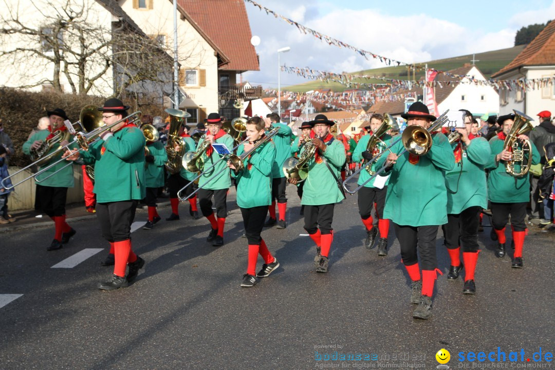 Narrentreffen - NV Kamelia: Tengen am Bodensee, 03.02.2013