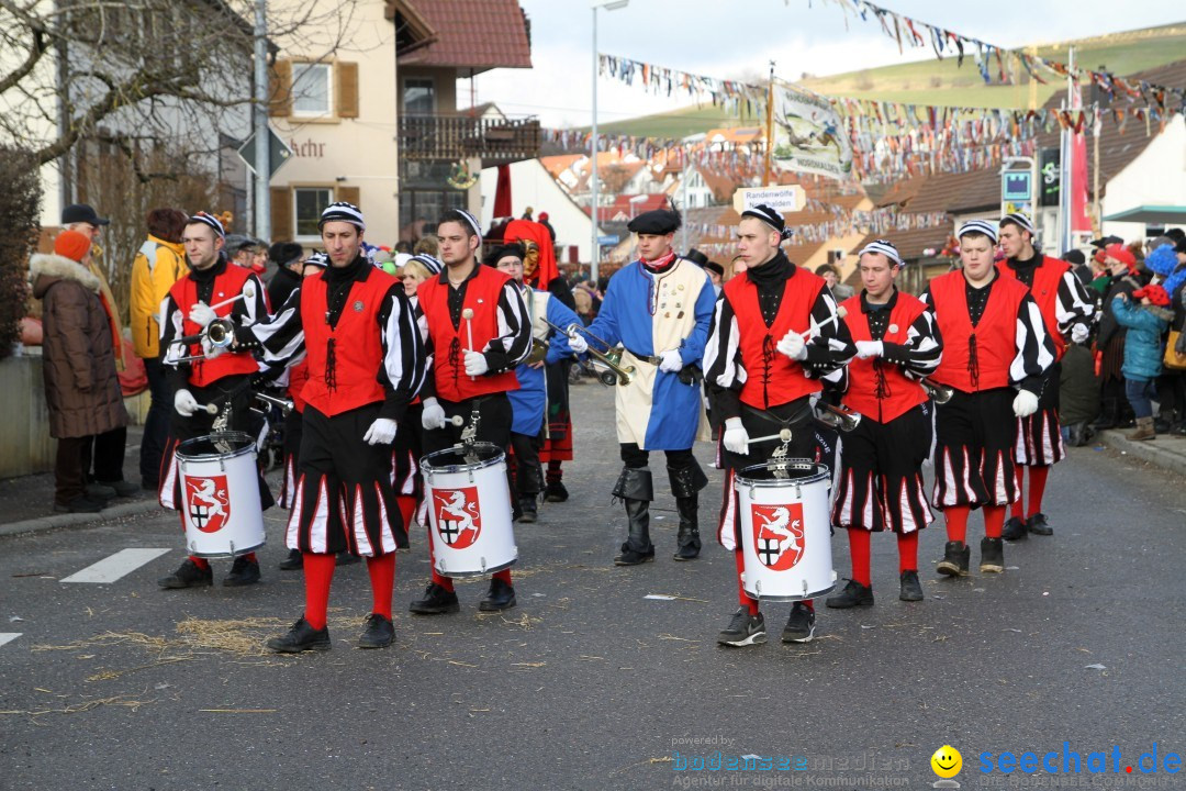 Narrentreffen - NV Kamelia: Tengen am Bodensee, 03.02.2013