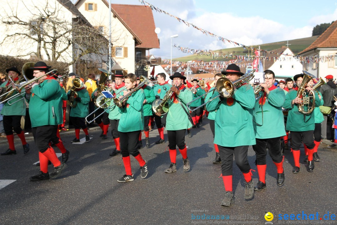 Narrentreffen - NV Kamelia: Tengen am Bodensee, 03.02.2013