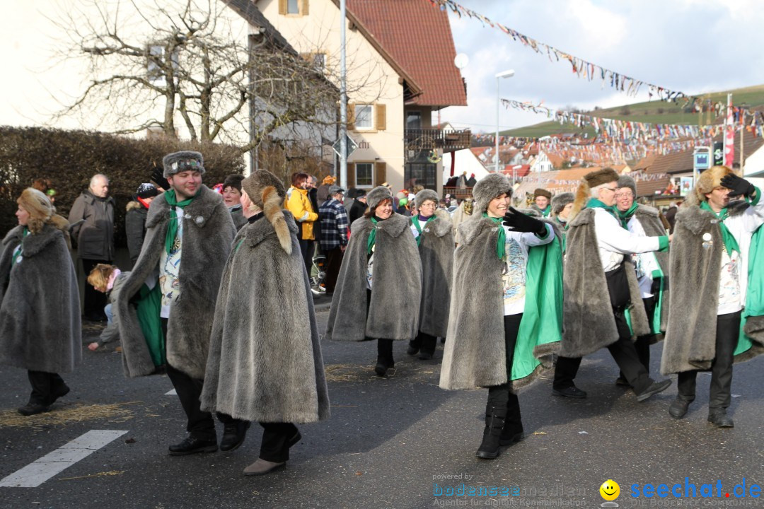 Narrentreffen - NV Kamelia: Tengen am Bodensee, 03.02.2013