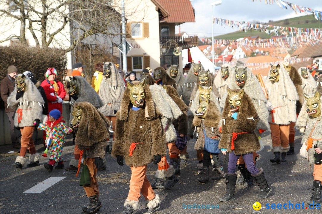 Narrentreffen - NV Kamelia: Tengen am Bodensee, 03.02.2013