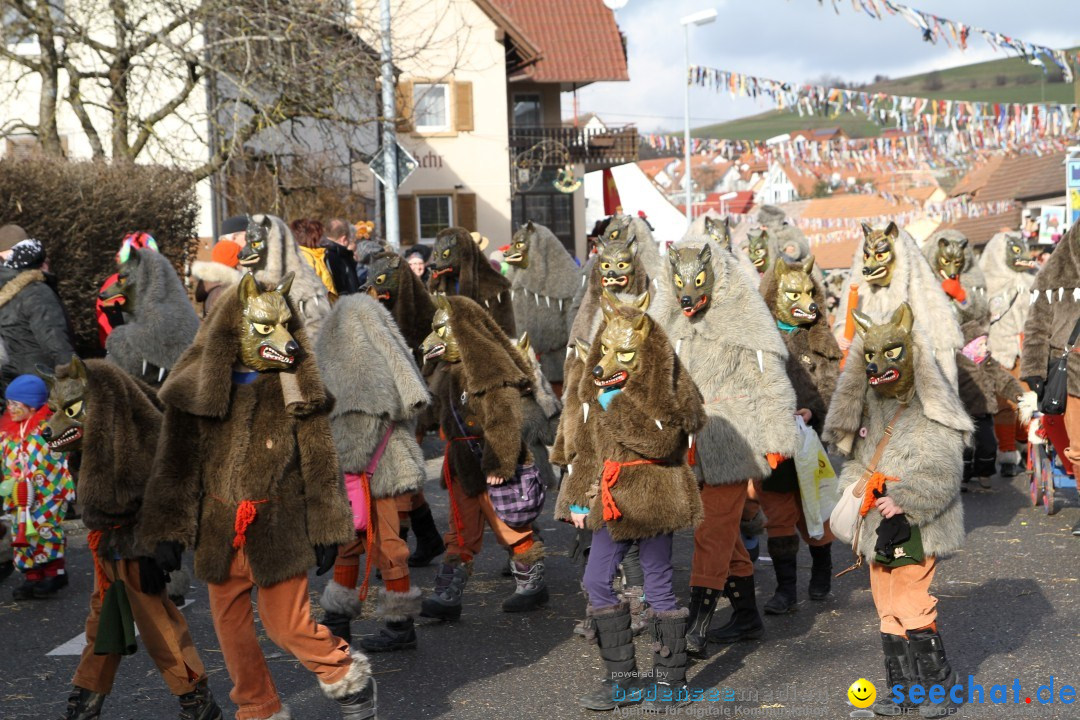 Narrentreffen - NV Kamelia: Tengen am Bodensee, 03.02.2013