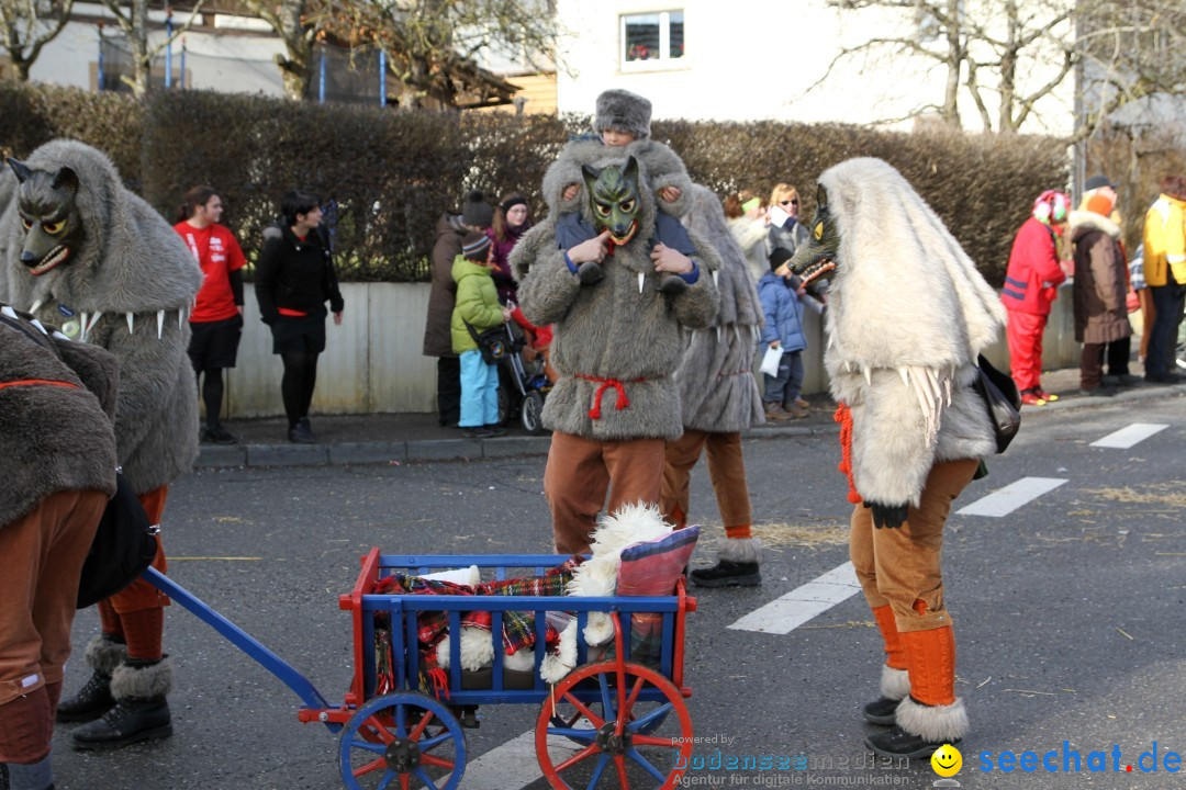 Narrentreffen - NV Kamelia: Tengen am Bodensee, 03.02.2013