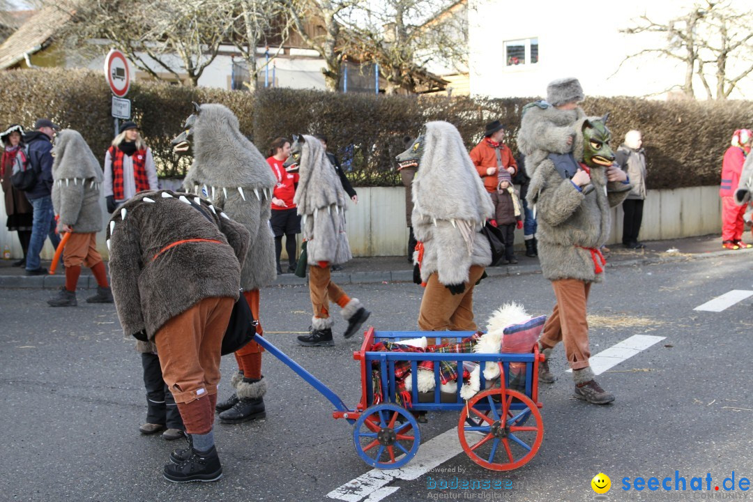 Narrentreffen - NV Kamelia: Tengen am Bodensee, 03.02.2013