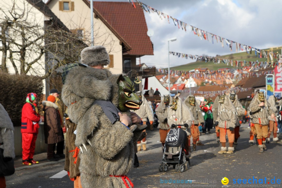 Narrentreffen - NV Kamelia: Tengen am Bodensee, 03.02.2013