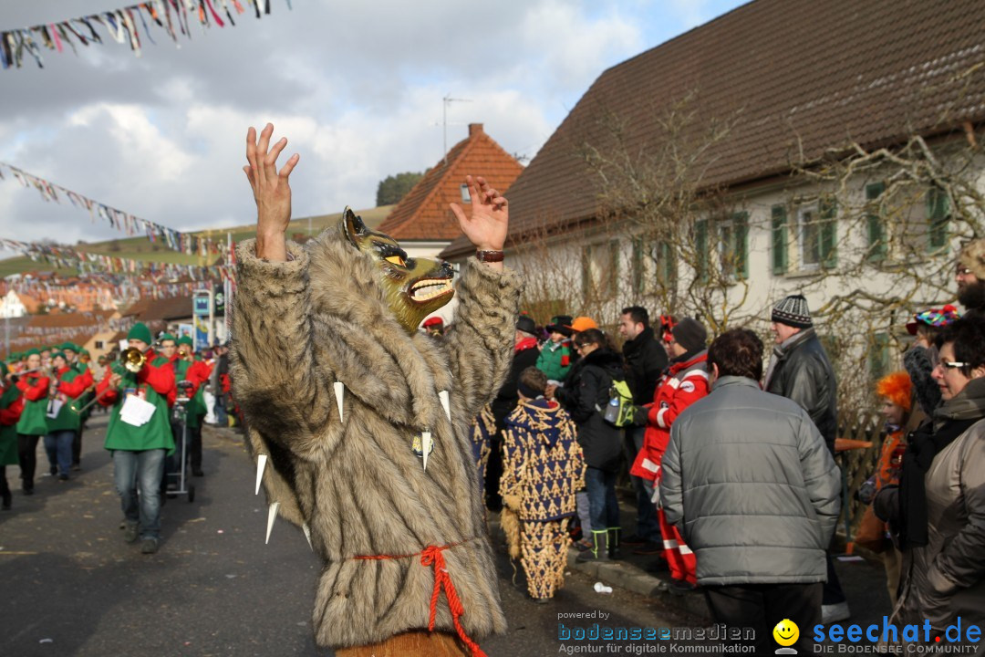 Narrentreffen - NV Kamelia: Tengen am Bodensee, 03.02.2013