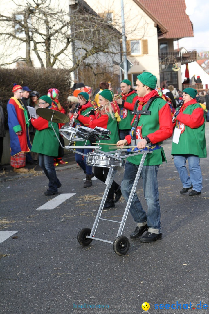 Narrentreffen - NV Kamelia: Tengen am Bodensee, 03.02.2013