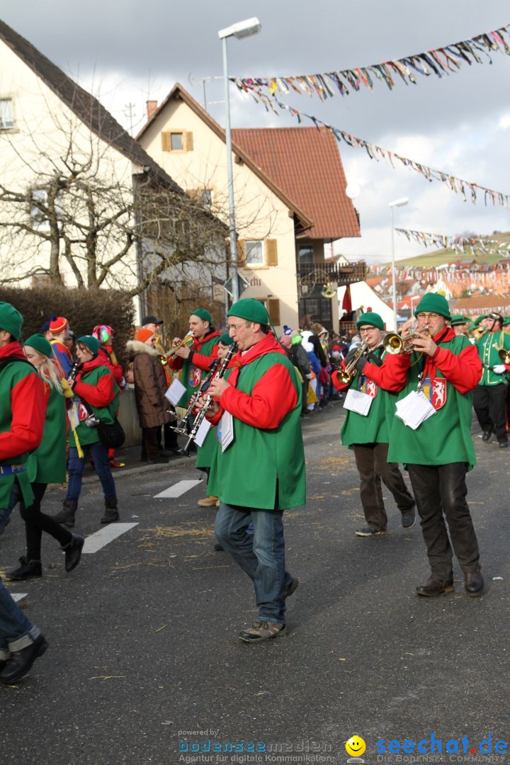 Narrentreffen - NV Kamelia: Tengen am Bodensee, 03.02.2013