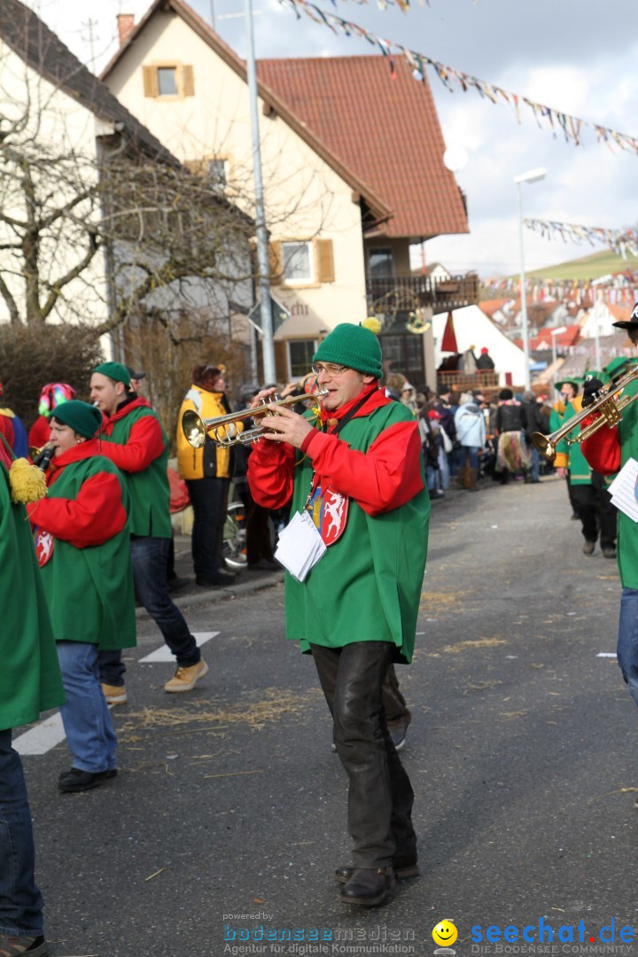 Narrentreffen - NV Kamelia: Tengen am Bodensee, 03.02.2013