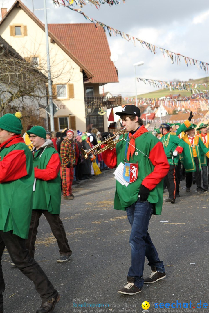 Narrentreffen - NV Kamelia: Tengen am Bodensee, 03.02.2013