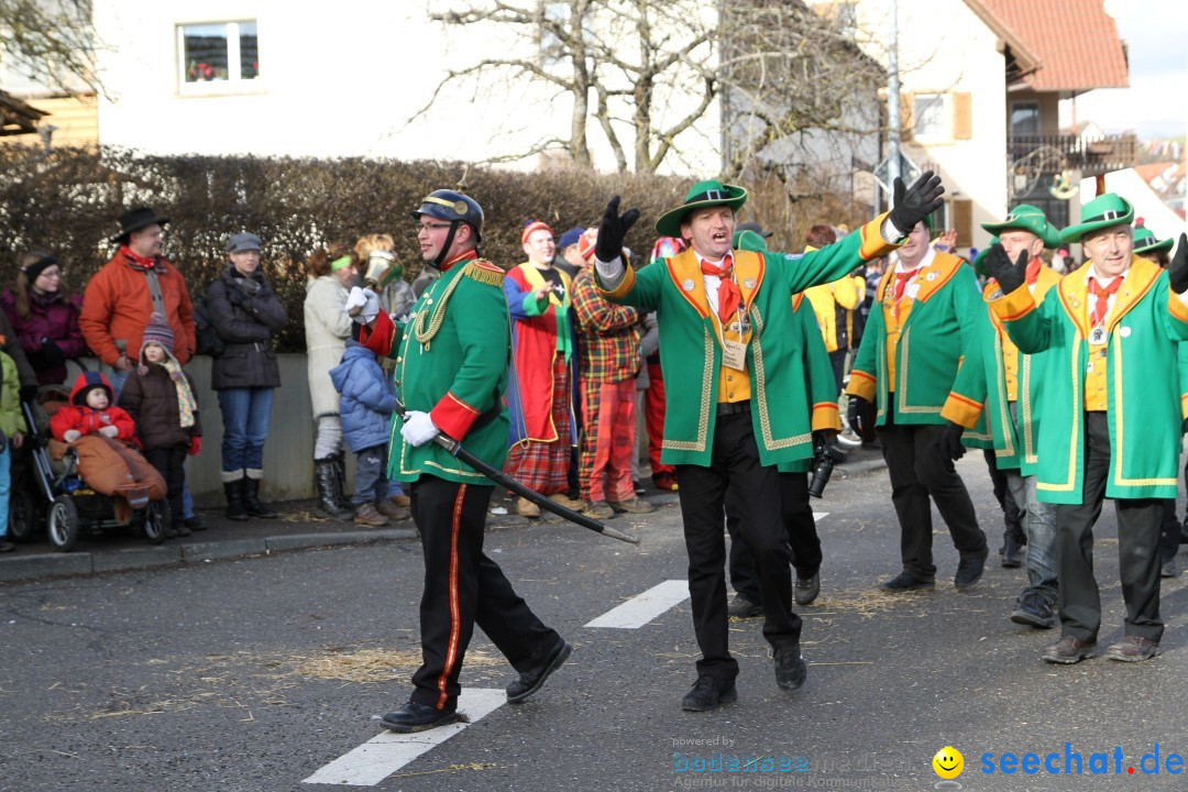 Narrentreffen - NV Kamelia: Tengen am Bodensee, 03.02.2013