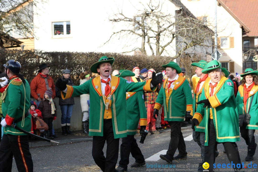 Narrentreffen - NV Kamelia: Tengen am Bodensee, 03.02.2013