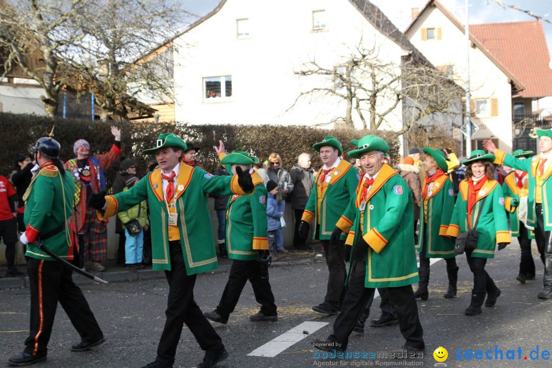 Narrentreffen - NV Kamelia: Tengen am Bodensee, 03.02.2013