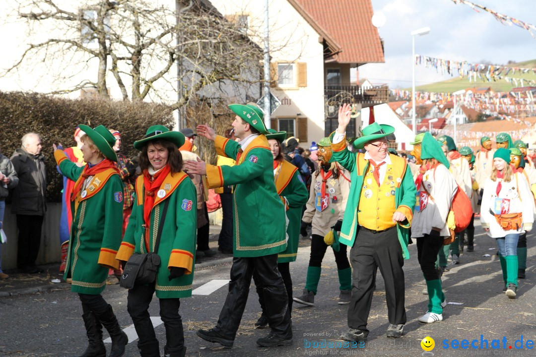 Narrentreffen - NV Kamelia: Tengen am Bodensee, 03.02.2013