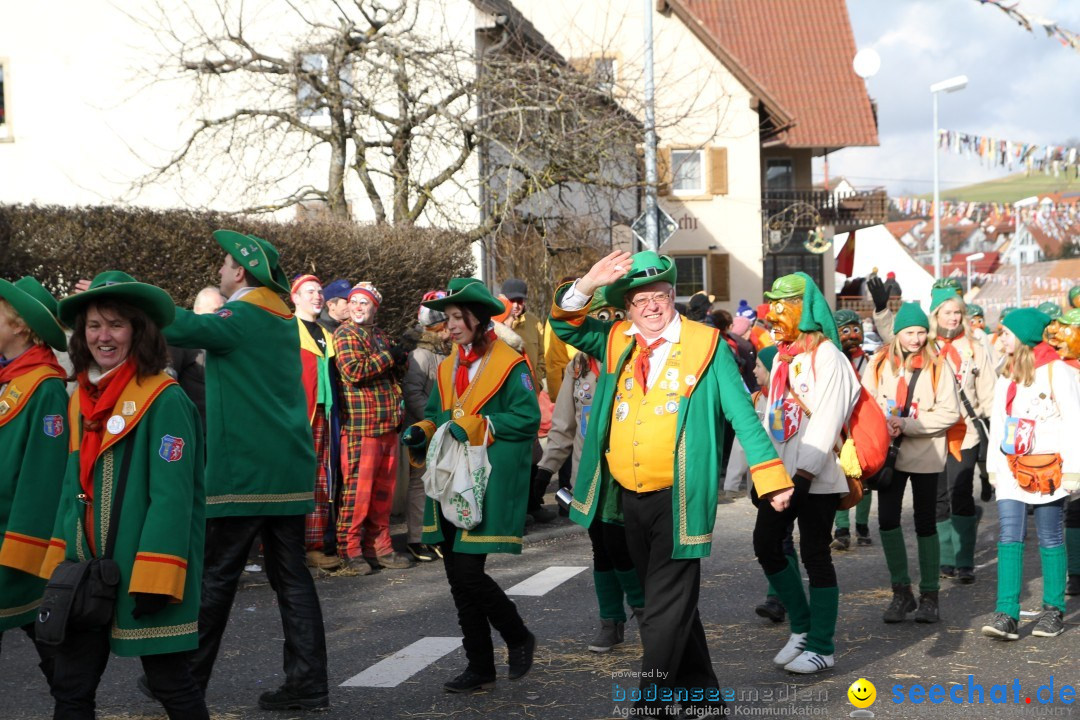 Narrentreffen - NV Kamelia: Tengen am Bodensee, 03.02.2013