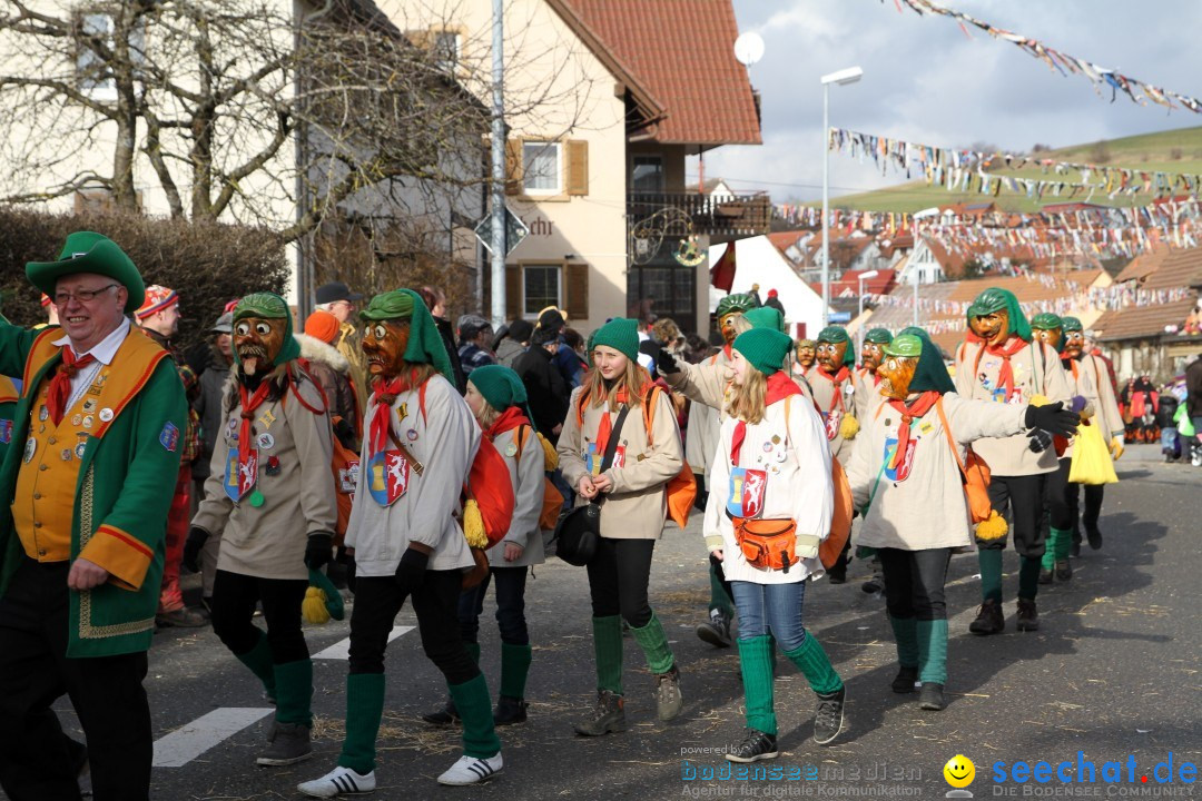 Narrentreffen - NV Kamelia: Tengen am Bodensee, 03.02.2013