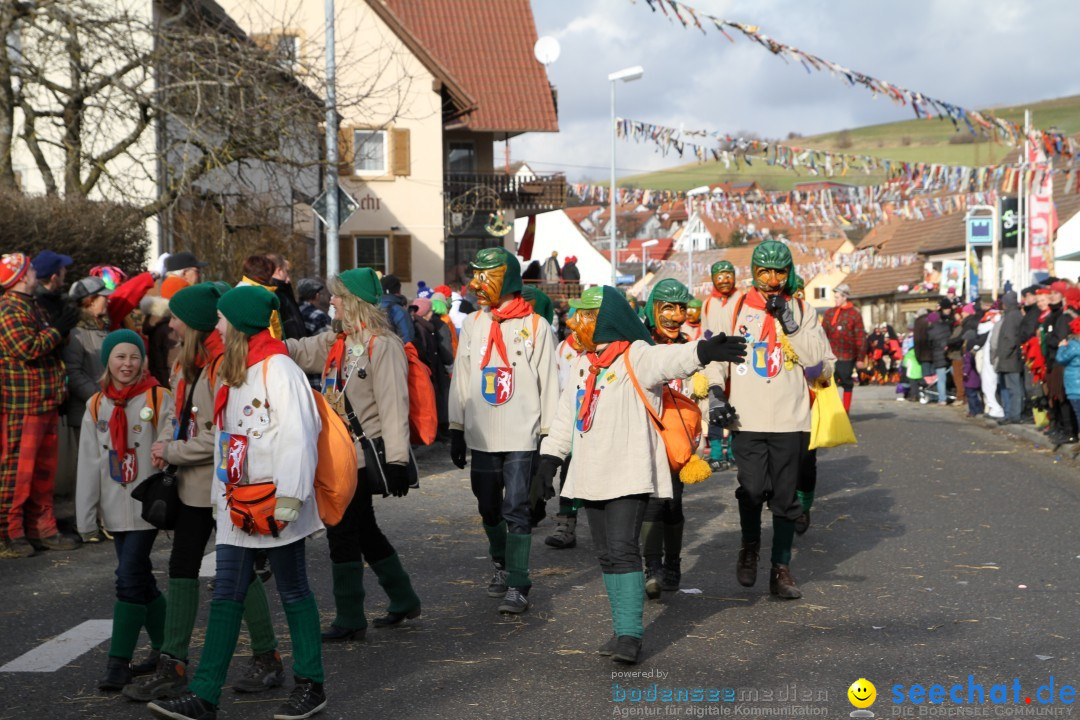 Narrentreffen - NV Kamelia: Tengen am Bodensee, 03.02.2013