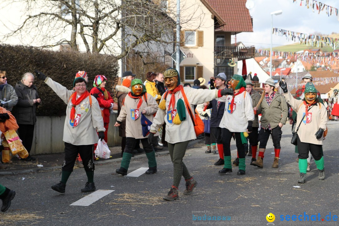 Narrentreffen - NV Kamelia: Tengen am Bodensee, 03.02.2013